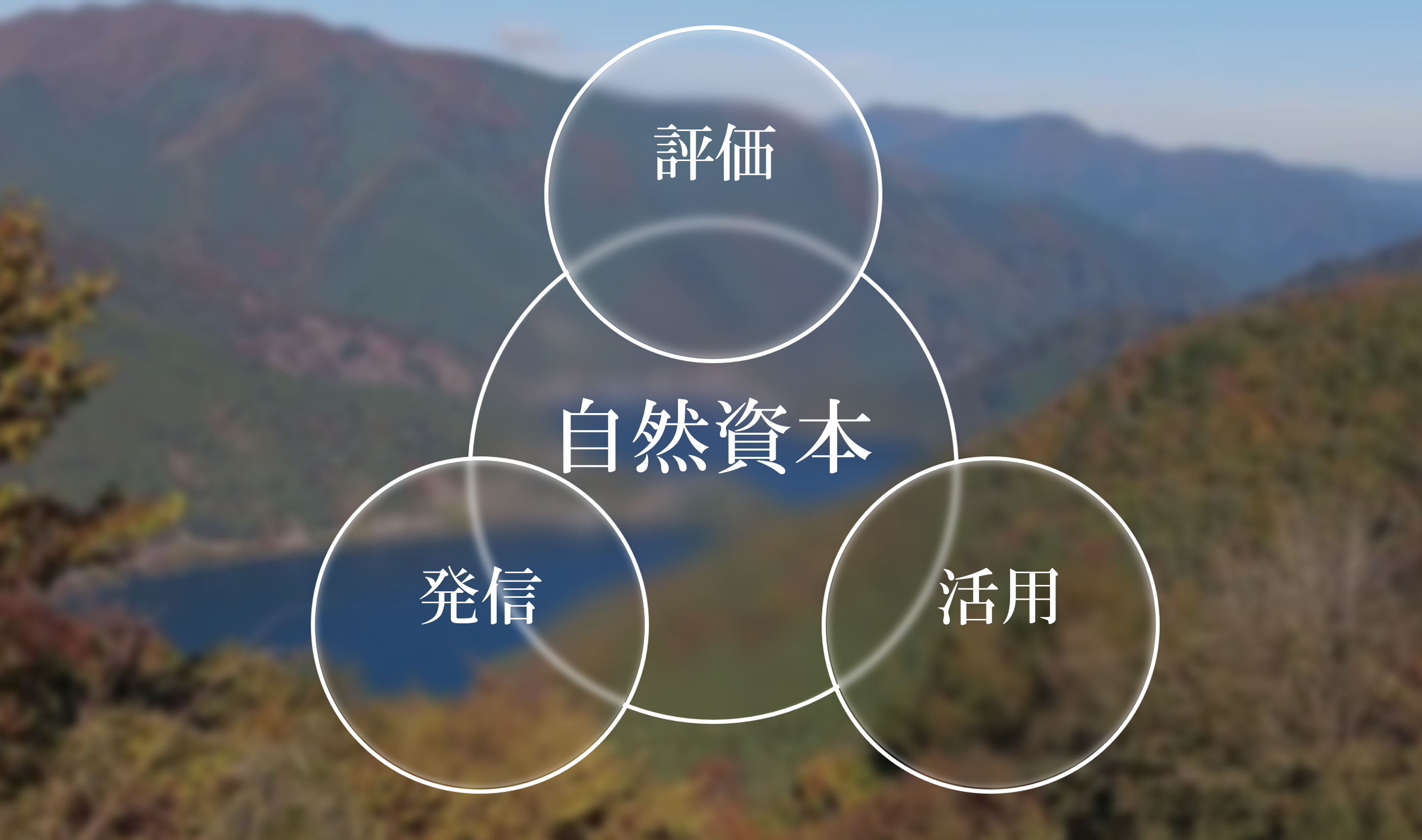 自然資本を評価・活用・発信へつなげる循環図