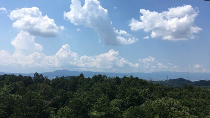 自然資本評価のイメージ